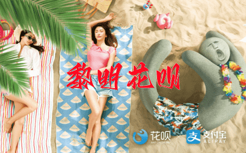 天罗地网花呗